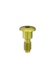 Cover Screw 4.3mm