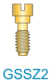 2 Series Gold Slotted Screw (Short)