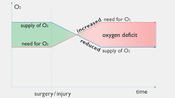 Oxygen Supply and Demand After Trauma