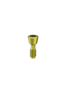 Cover Screws