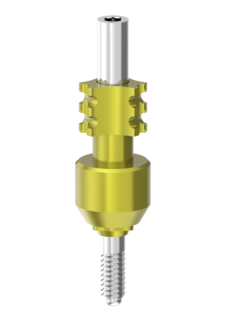 Impression Copings