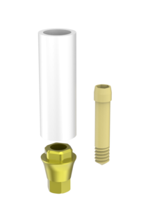 Passive Abutments