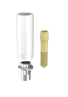 Passive Abutments