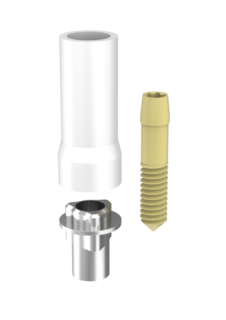 Passive Abutments