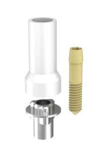 Passive Abutments