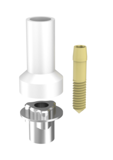 Passive Abutments