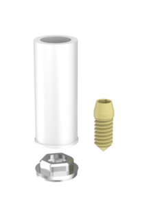 Passive Abutments