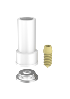 Passive Abutments