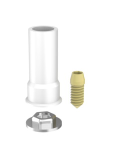 Passive Abutments