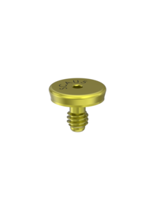 Cover  Screws