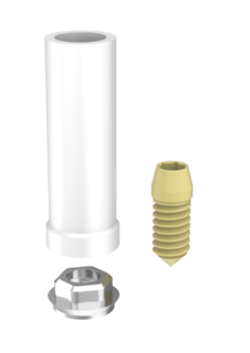 Passive Abutments