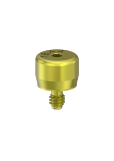 Healing Abutments