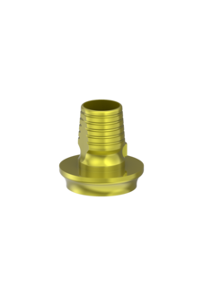 CAD/CAM Abutments