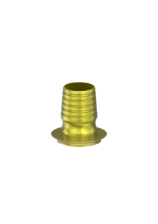 CAD/CAM Abutments