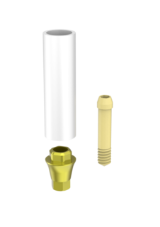 Abutment PA Non-Eng DCø3.0