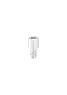Screw ti hexed 1 series