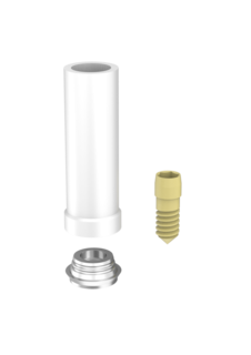 Abutment Passive IP Non-Eng