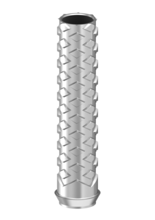 *Abutment Ti IBN 1mm N/eng