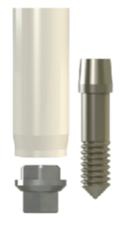 Passive Abutments