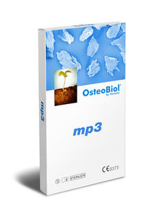 mp3
